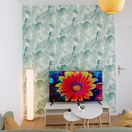 Palois A Deux Pas Des Halles * 波城