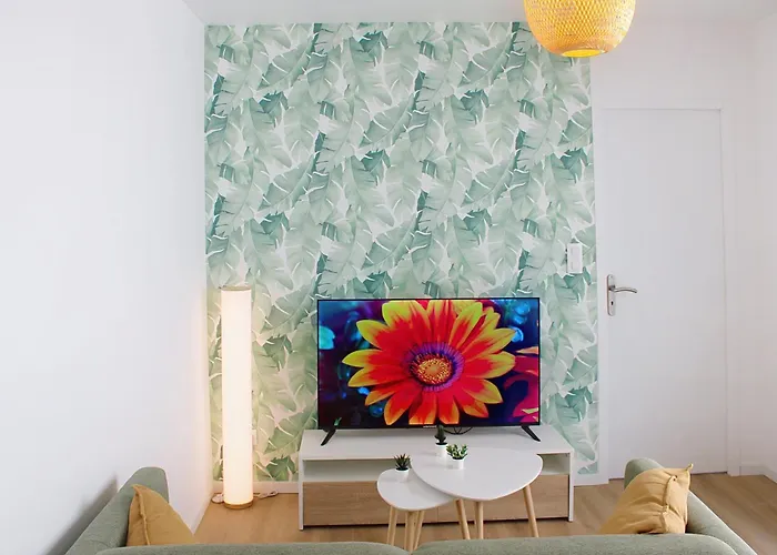 Palois A Deux Pas Des Halles * Pau